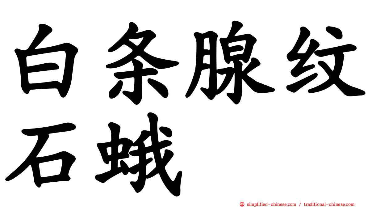 白条腺纹石蛾