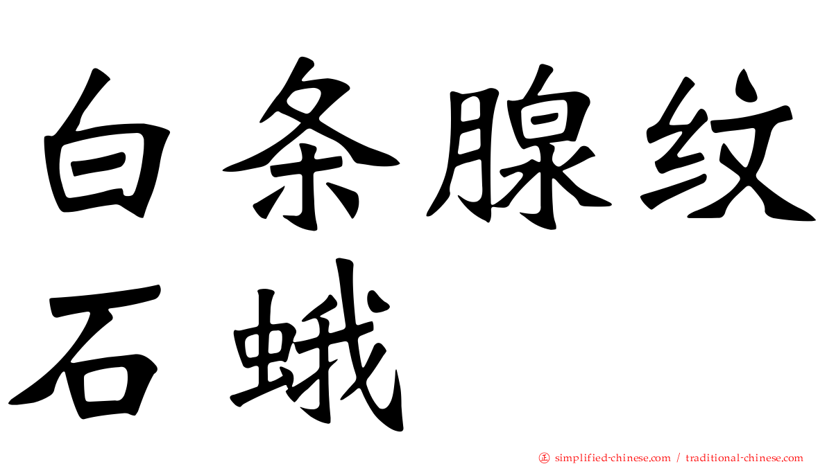 白条腺纹石蛾