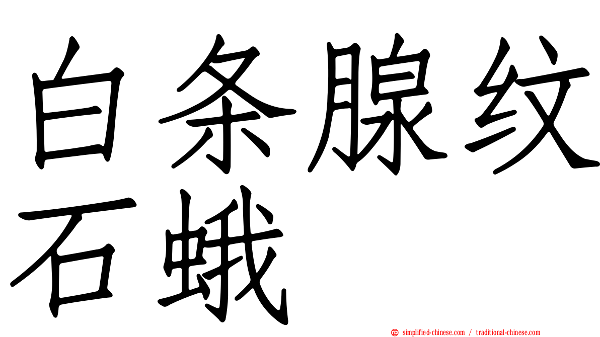 白条腺纹石蛾