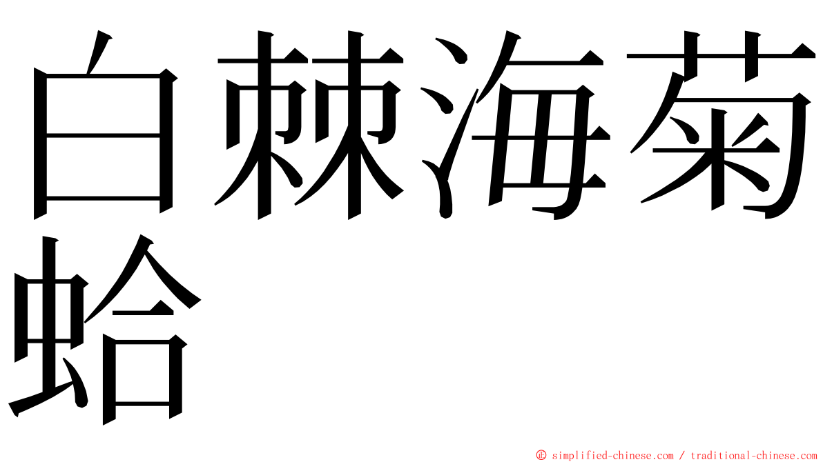 白棘海菊蛤 ming font