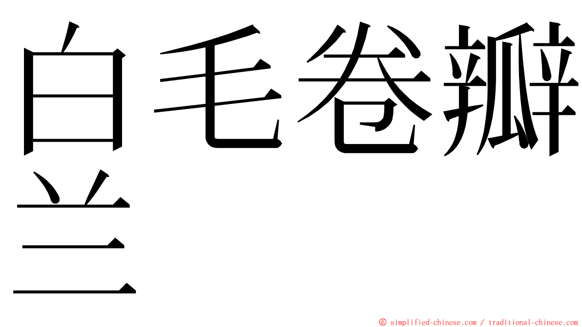 白毛卷瓣兰 ming font