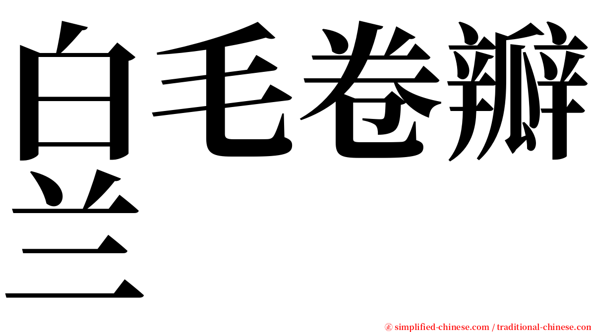 白毛卷瓣兰 serif font