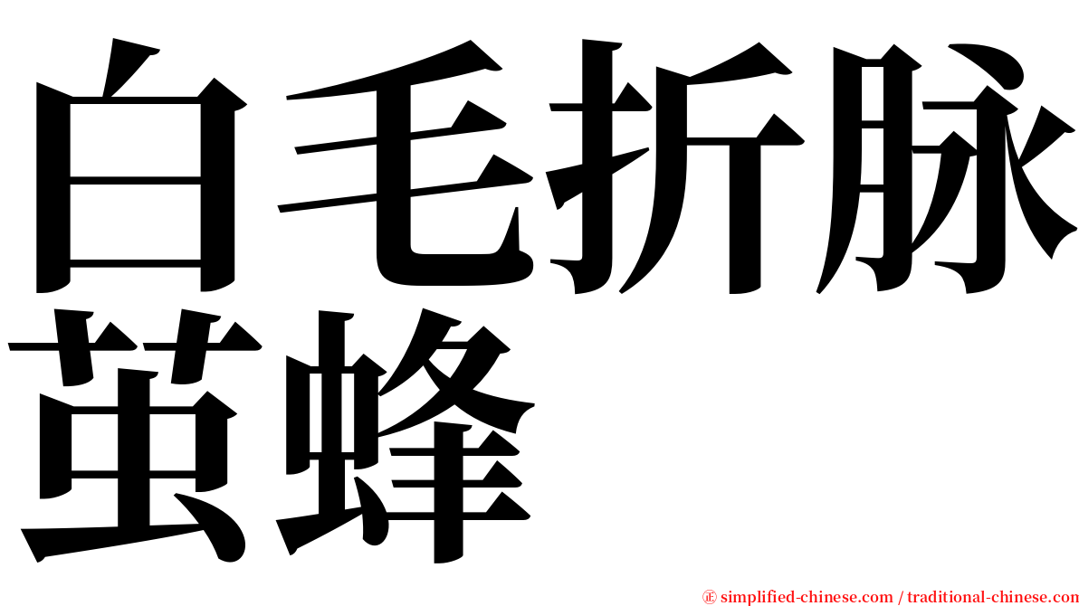 白毛折脉茧蜂 serif font