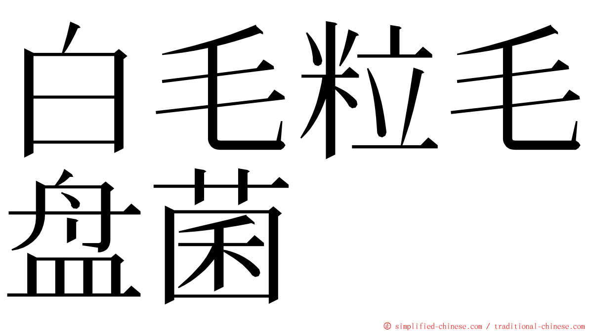 白毛粒毛盘菌 ming font