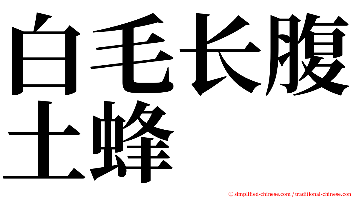 白毛长腹土蜂 serif font