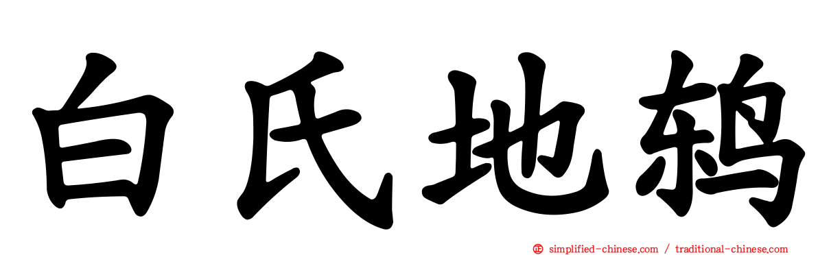 白氏地鸫