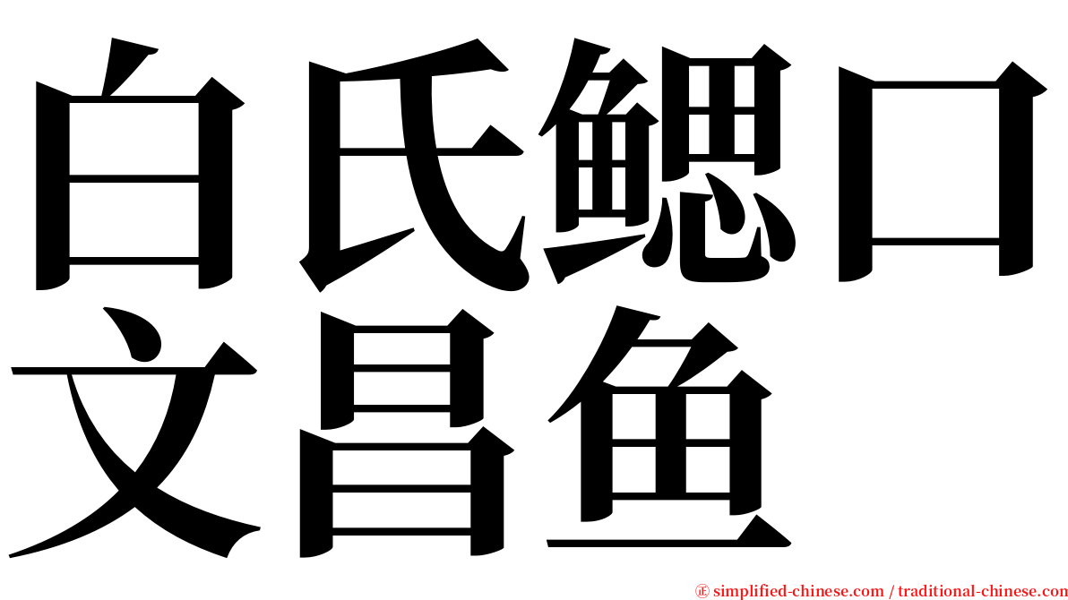 白氏鳃口文昌鱼 serif font