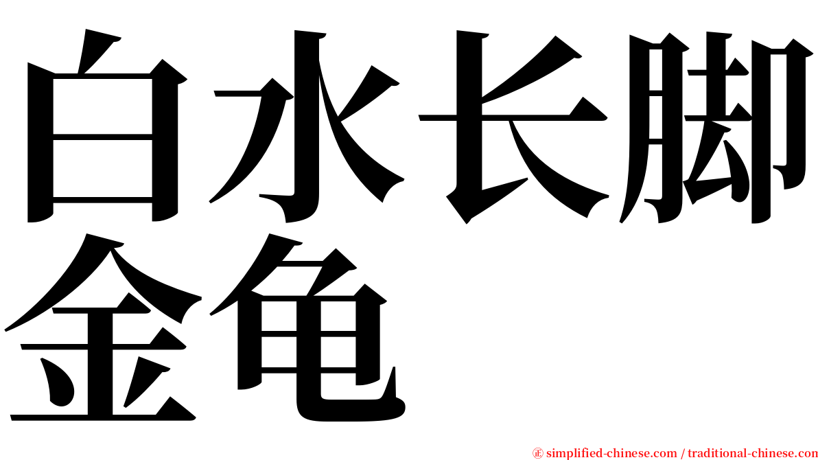 白水长脚金龟 serif font