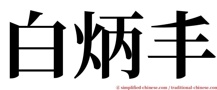 白炳丰 serif font