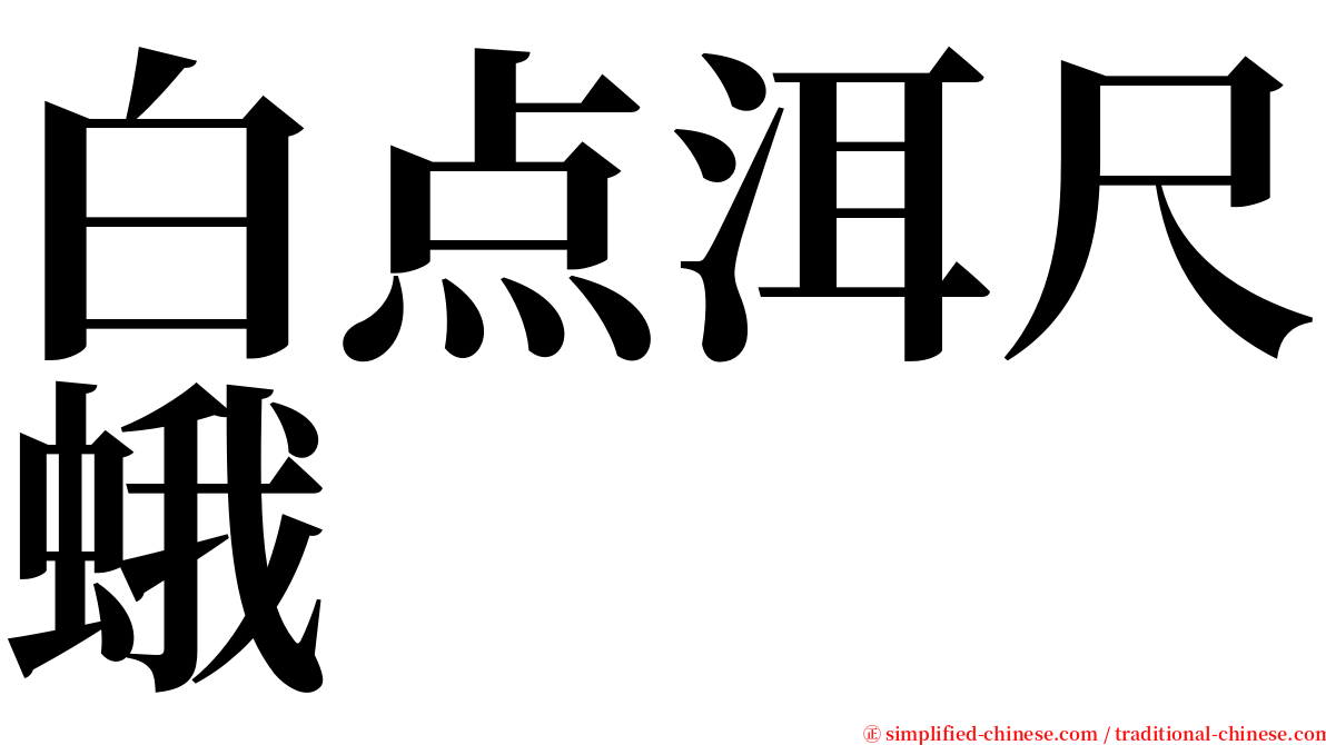 白点洱尺蛾 serif font