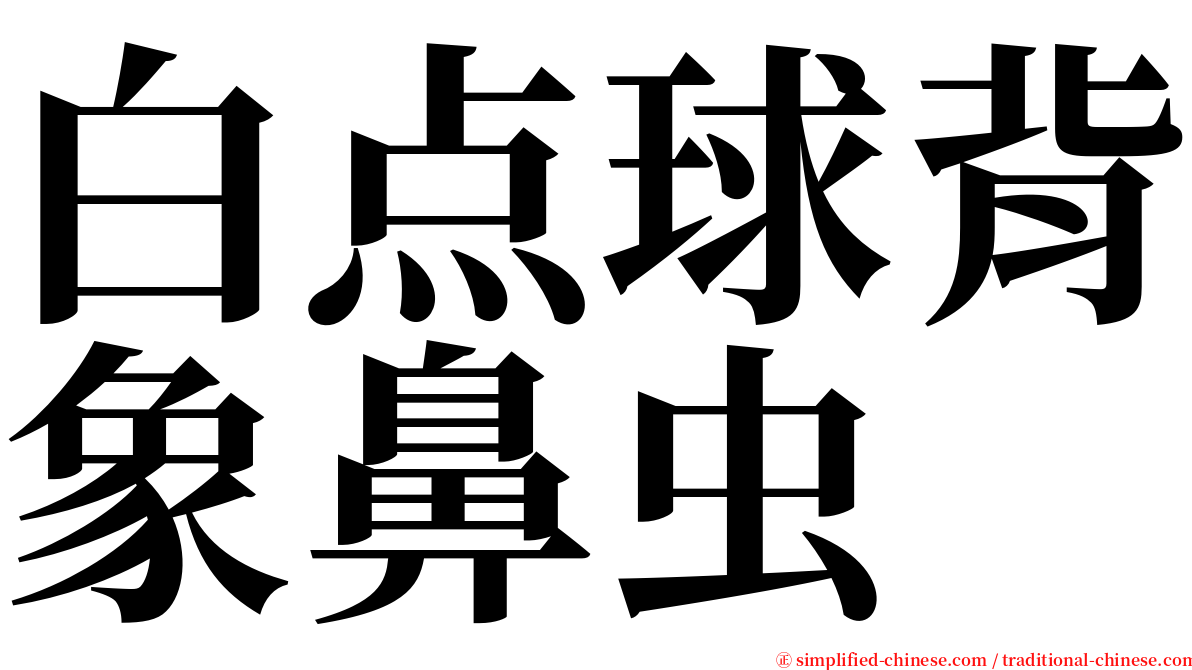 白点球背象鼻虫 serif font