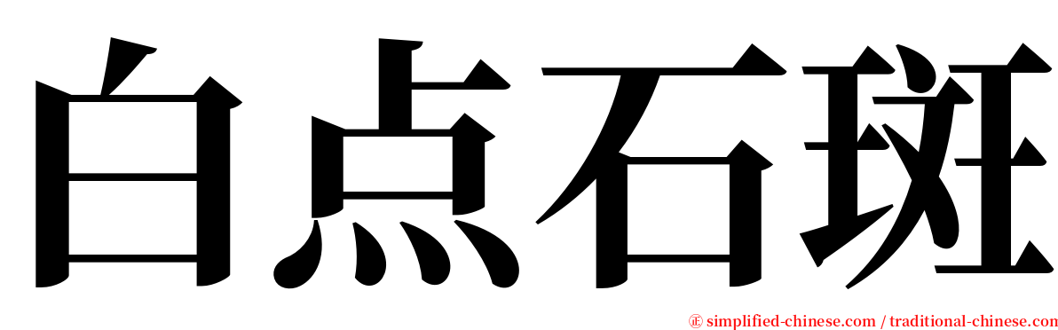 白点石斑 serif font