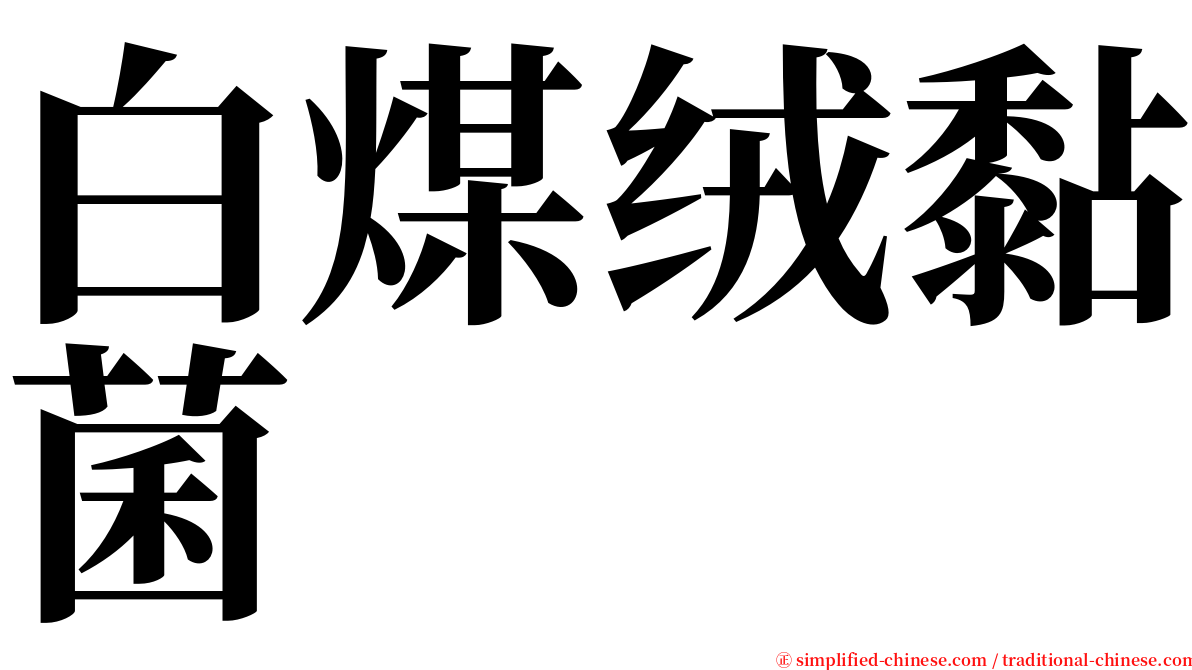 白煤绒黏菌 serif font