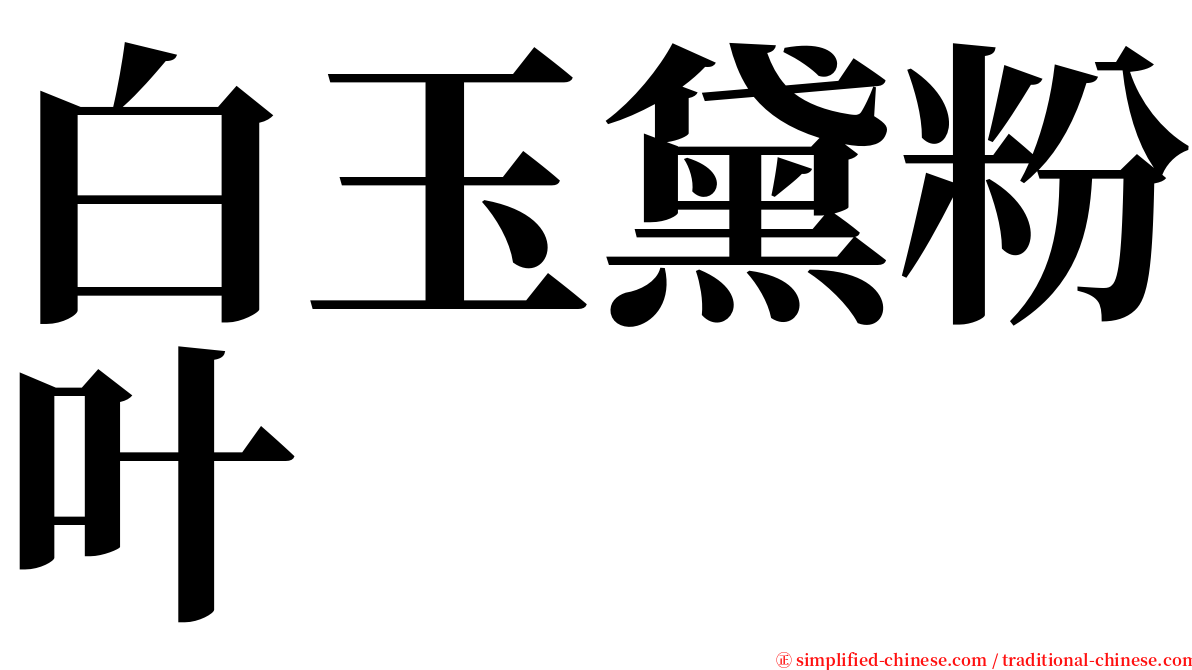 白玉黛粉叶 serif font