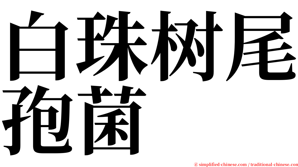 白珠树尾孢菌 serif font