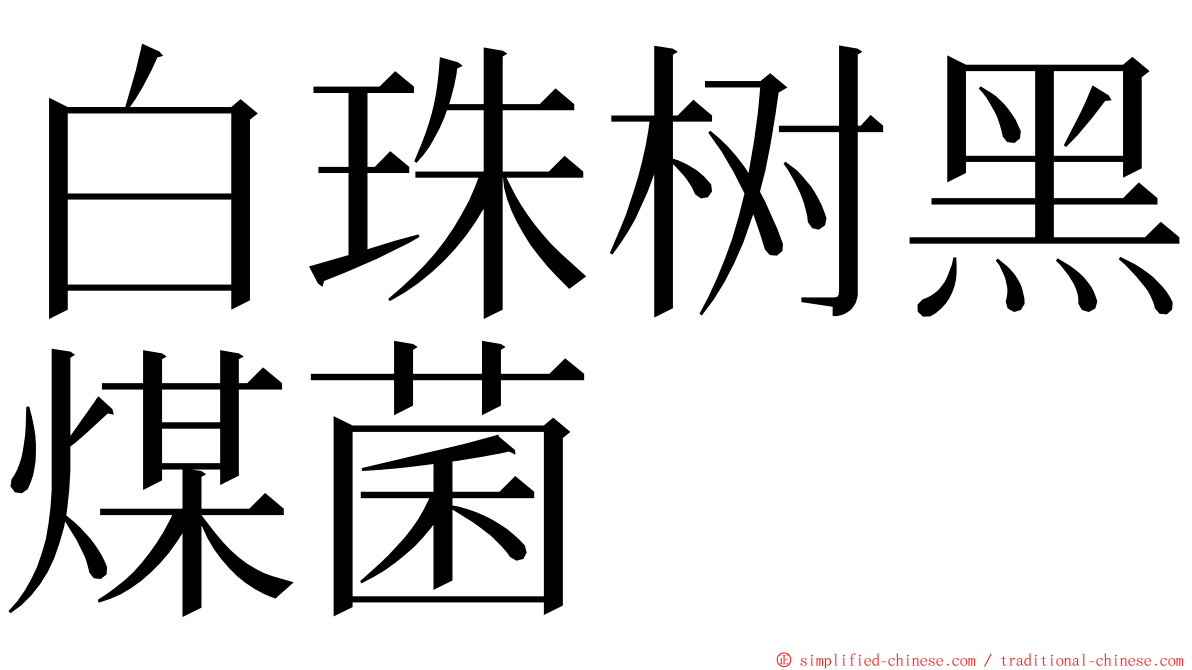 白珠树黑煤菌 ming font
