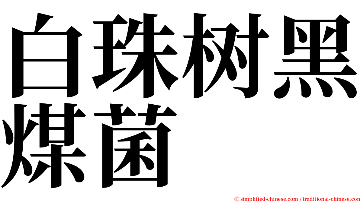 白珠树黑煤菌 serif font