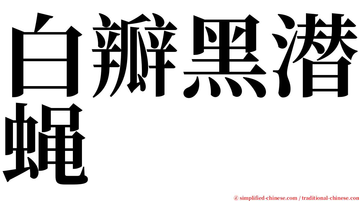 白瓣黑潜蝇 serif font