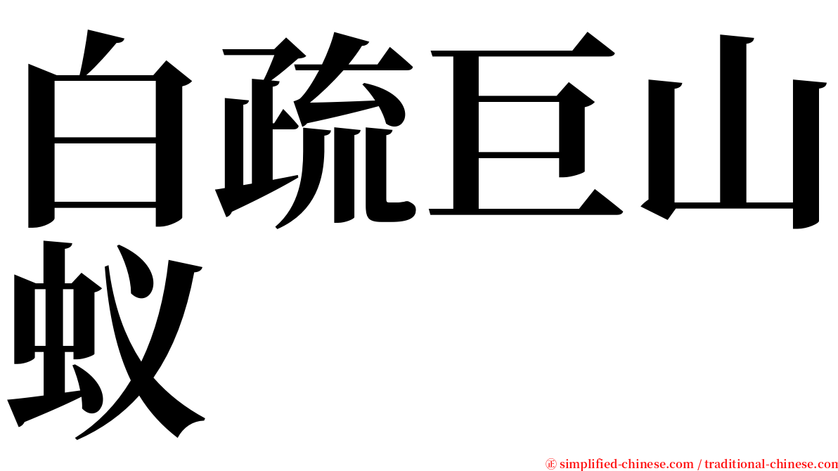 白疏巨山蚁 serif font