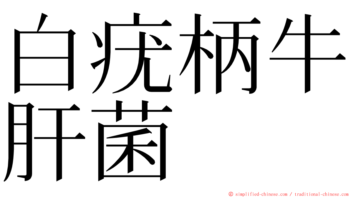 白疣柄牛肝菌 ming font