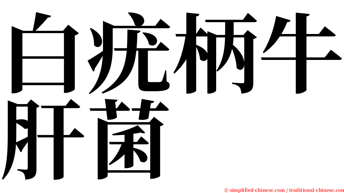 白疣柄牛肝菌 serif font