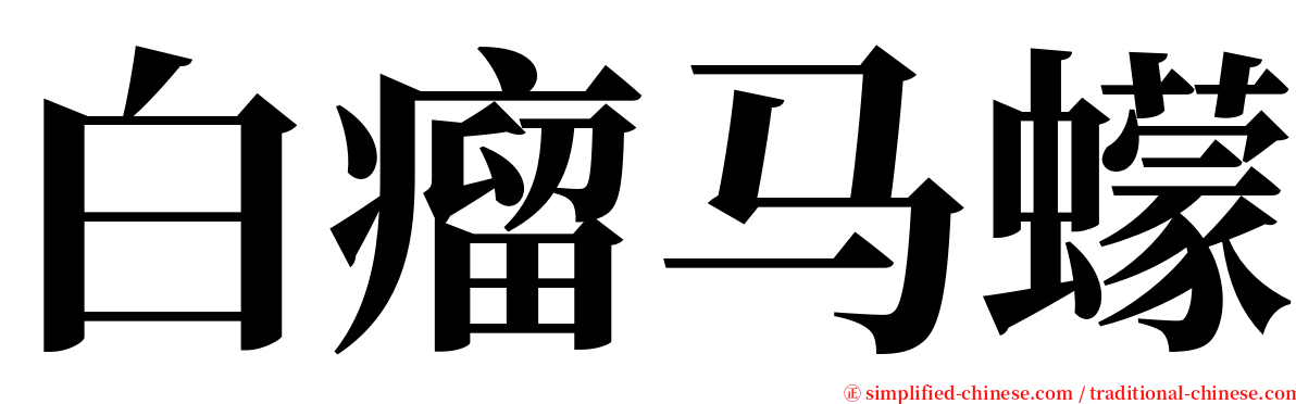 白瘤马蠓 serif font