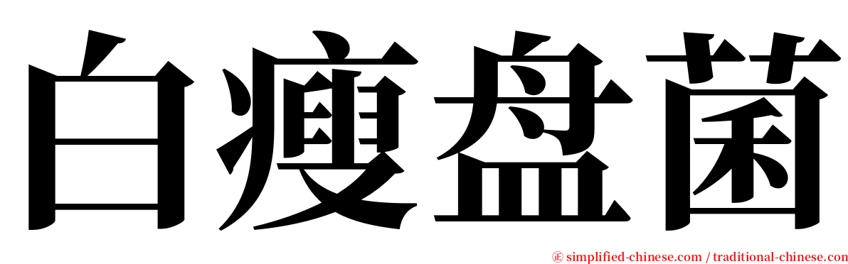 白瘦盘菌 serif font