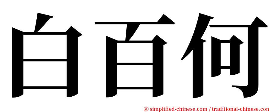 白百何 serif font