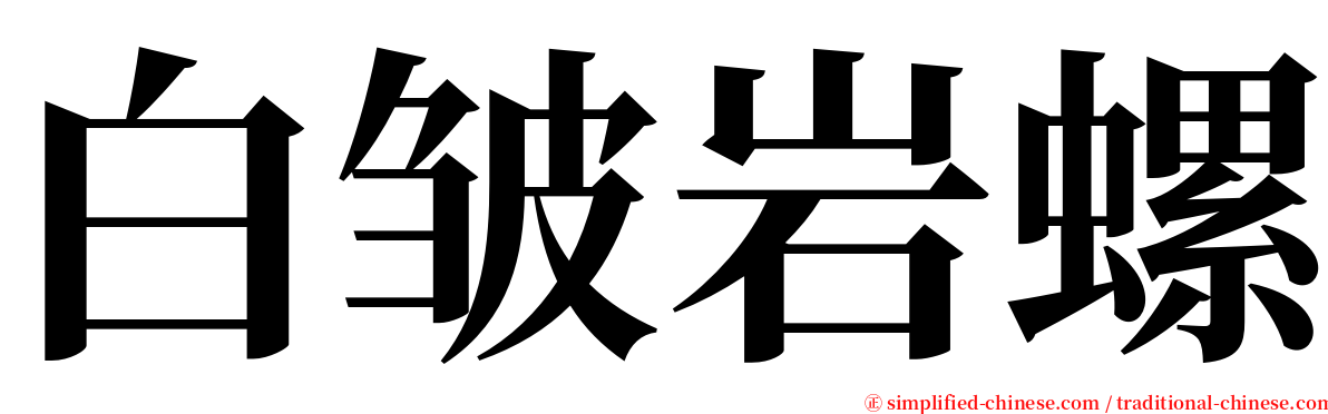 白皱岩螺 serif font