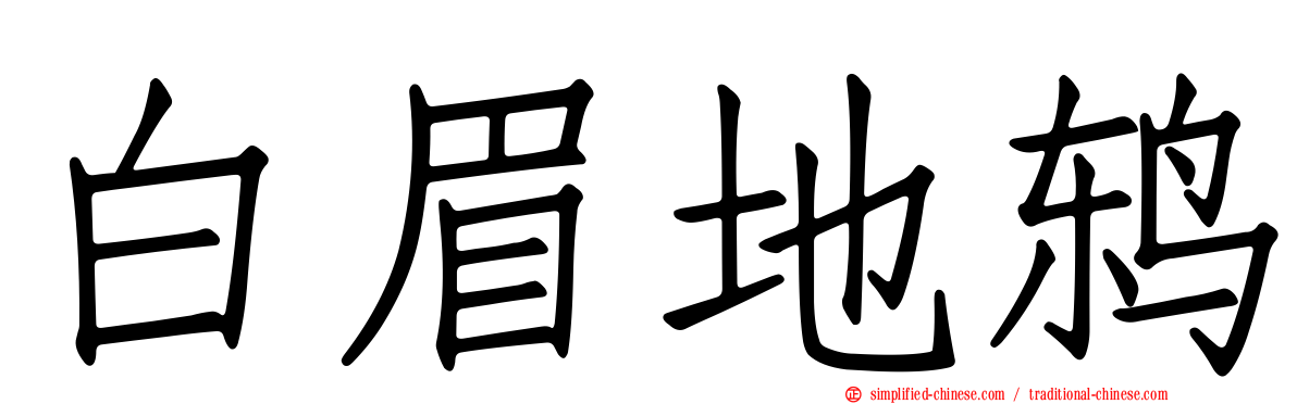 白眉地鸫