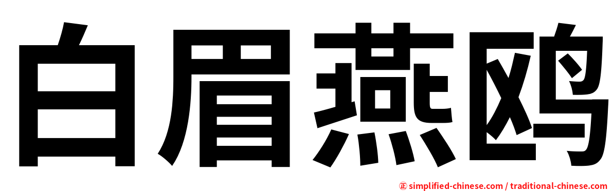 白眉燕鸥