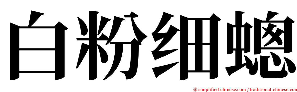 白粉细蟌 serif font