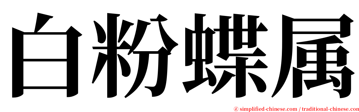 白粉蝶属 serif font