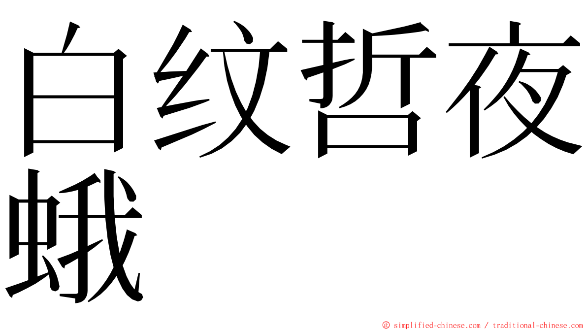 白纹哲夜蛾 ming font