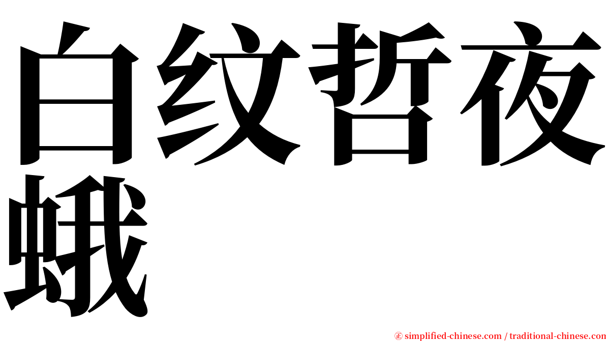 白纹哲夜蛾 serif font