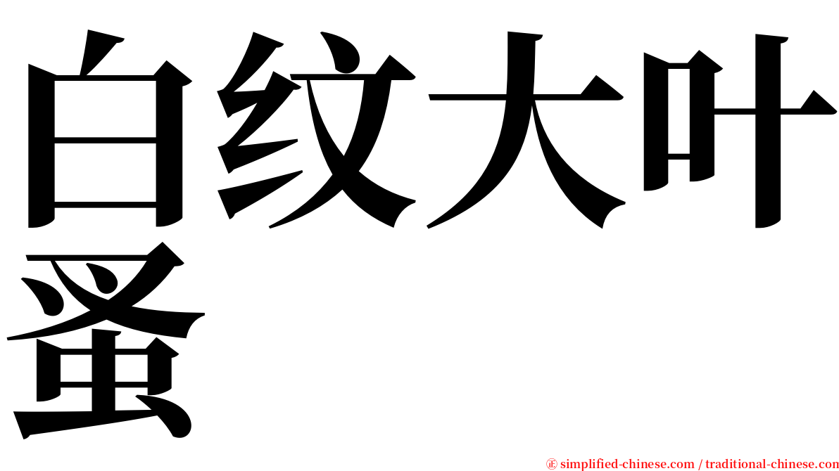 白纹大叶蚤 serif font