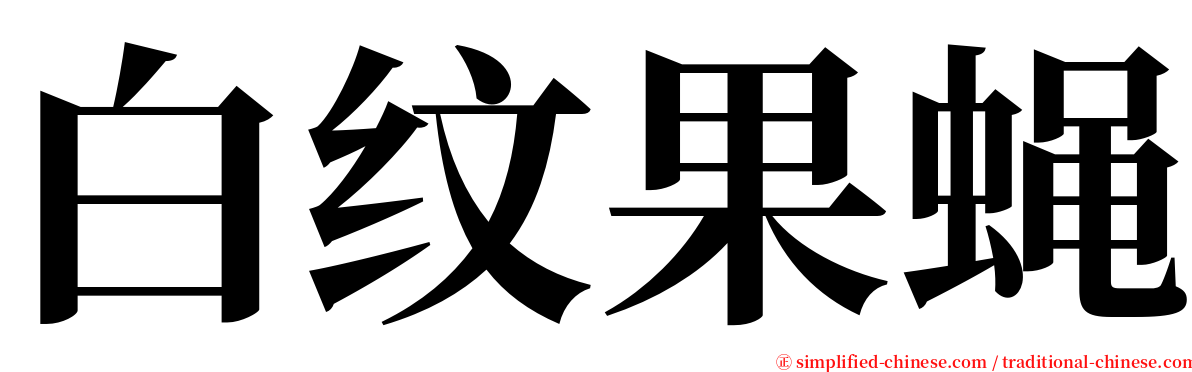 白纹果蝇 serif font