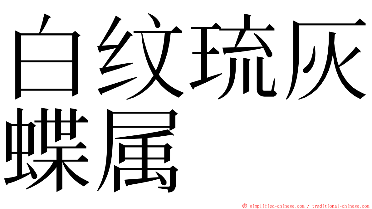 白纹琉灰蝶属 ming font