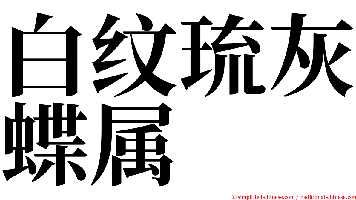 白纹琉灰蝶属 serif font