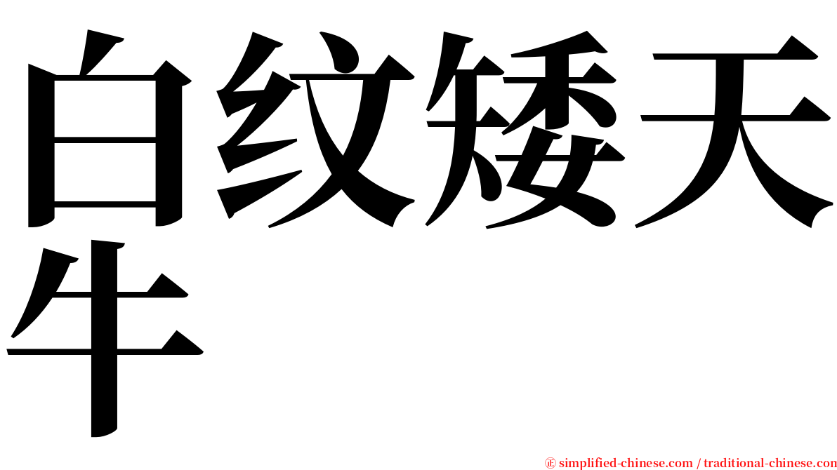 白纹矮天牛 serif font