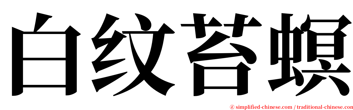 白纹苔螟 serif font