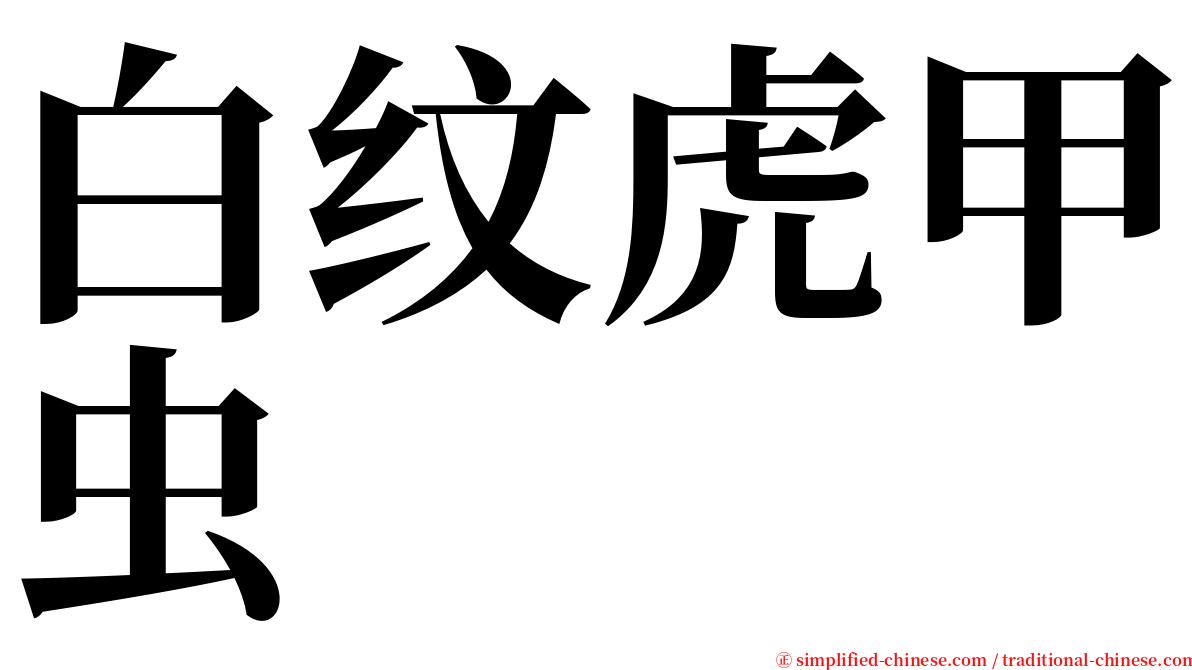 白纹虎甲虫 serif font