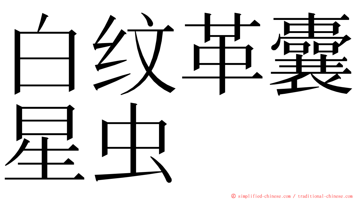 白纹革囊星虫 ming font