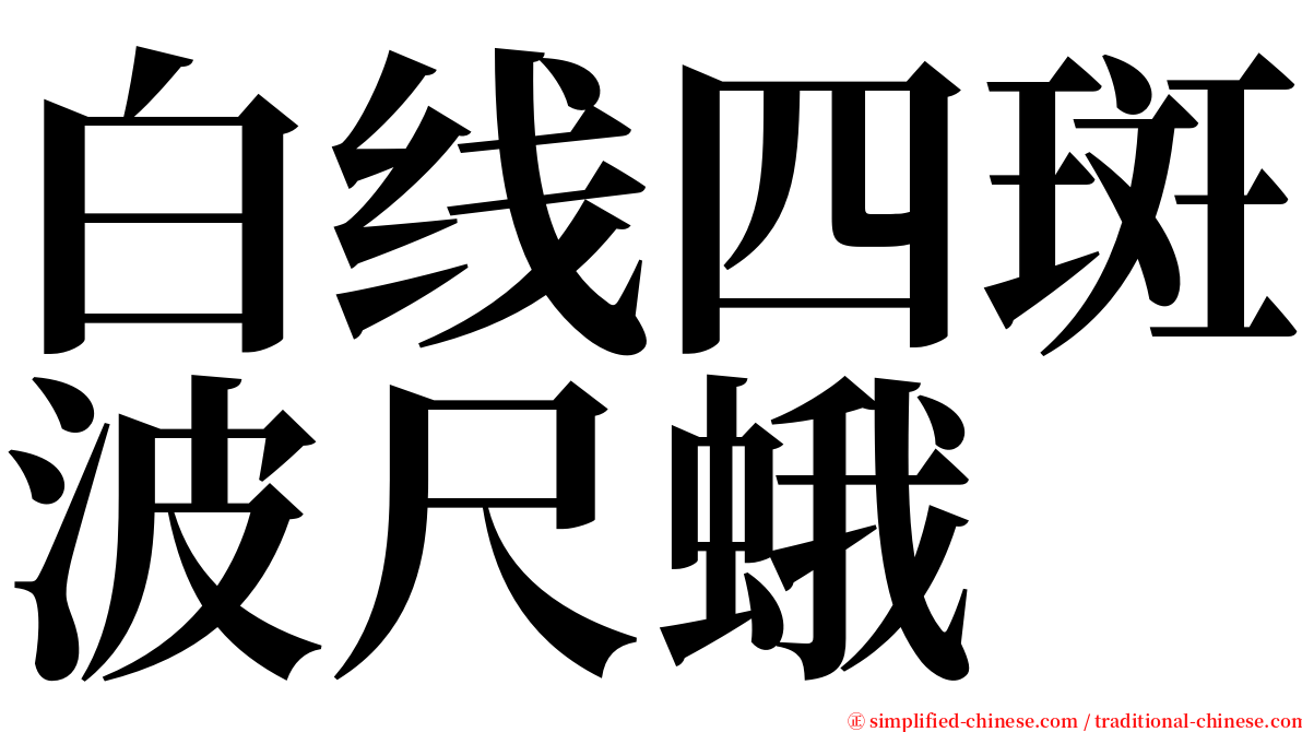 白线四斑波尺蛾 serif font