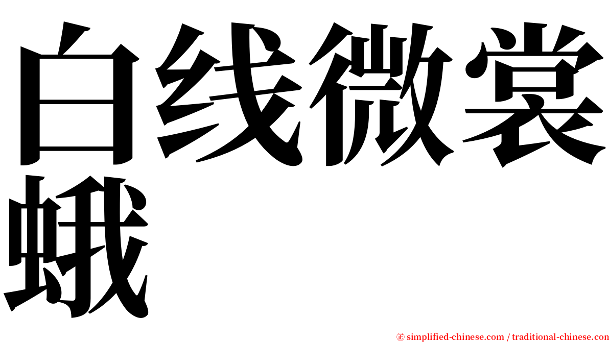 白线微裳蛾 serif font