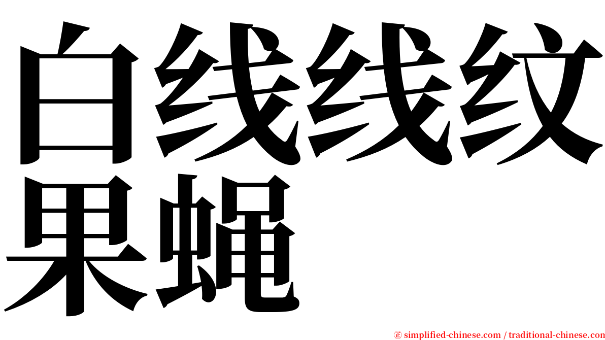 白线线纹果蝇 serif font