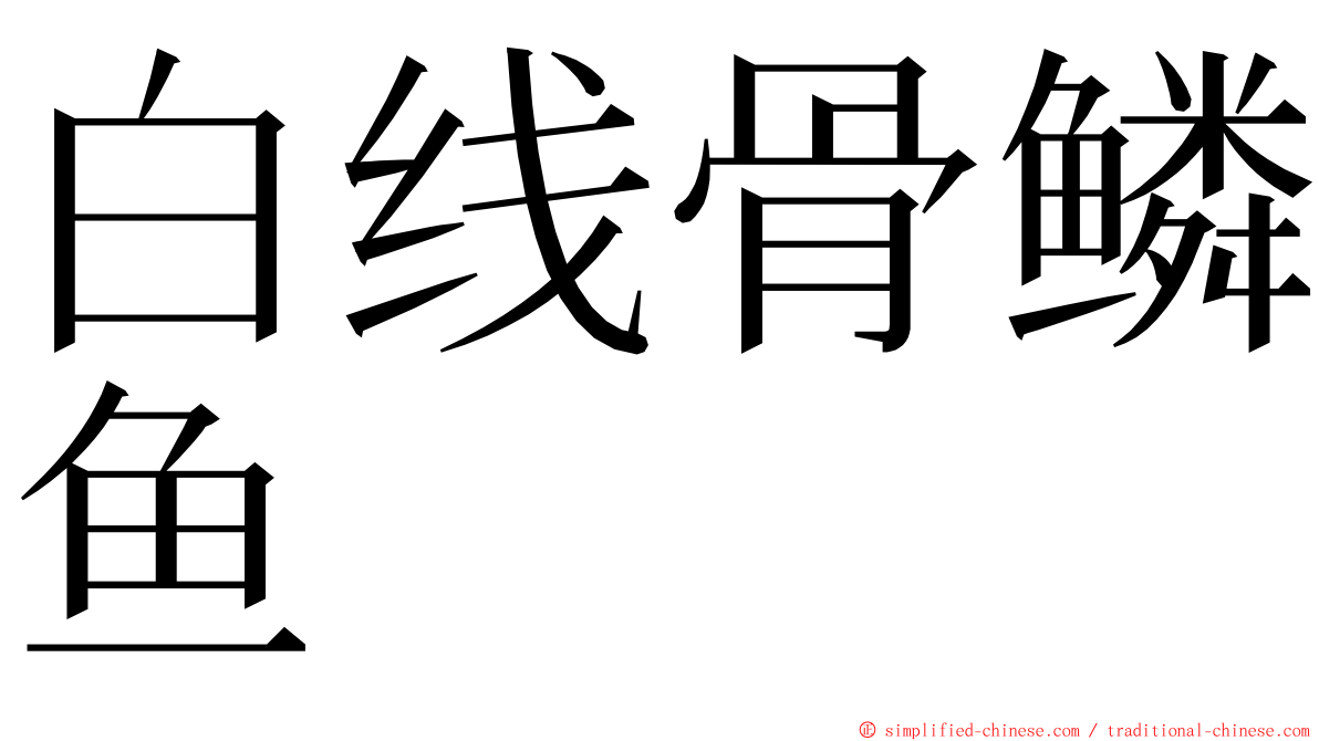 白线骨鳞鱼 ming font