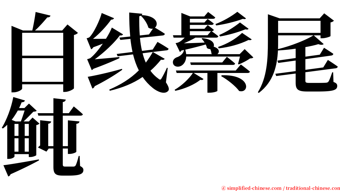 白线鬃尾鲀 serif font