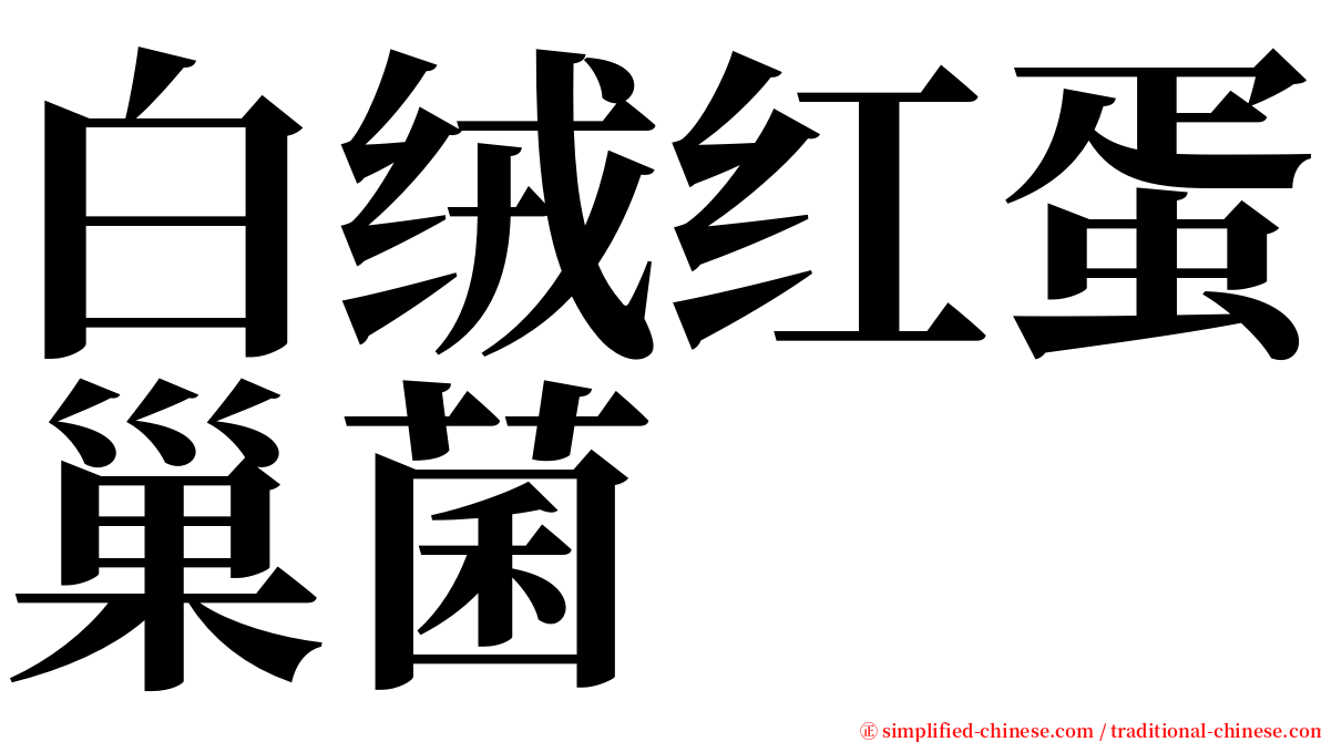 白绒红蛋巢菌 serif font