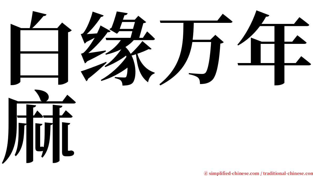 白缘万年麻 serif font